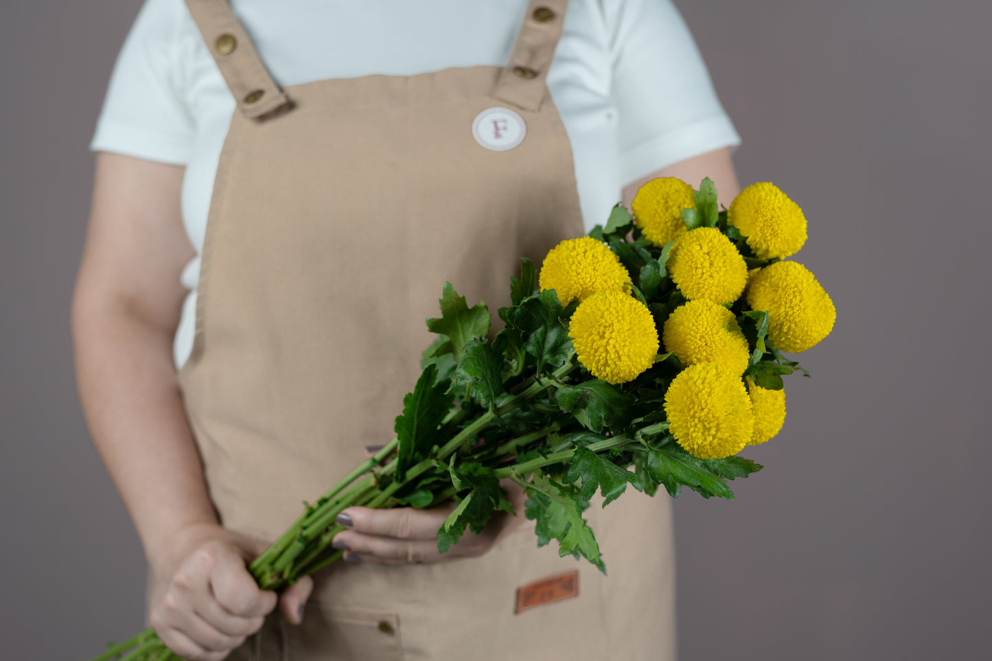 Bunch of Chrysanthemum - Ping Pong Yellow