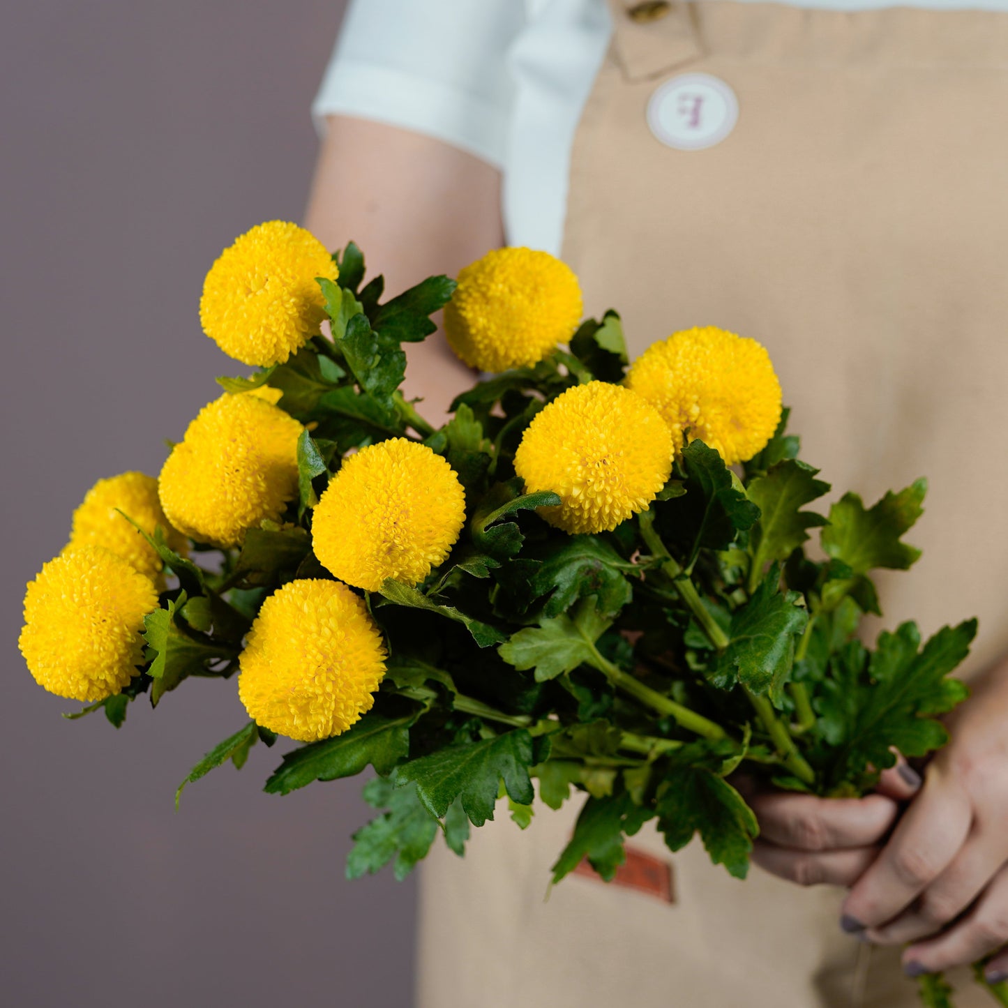 Bunch of Chrysanthemum - Ping Pong Yellow