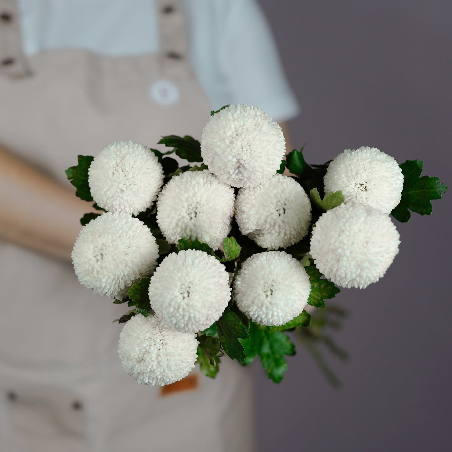 Bunch of Chrysanthemum - Ping Pong White