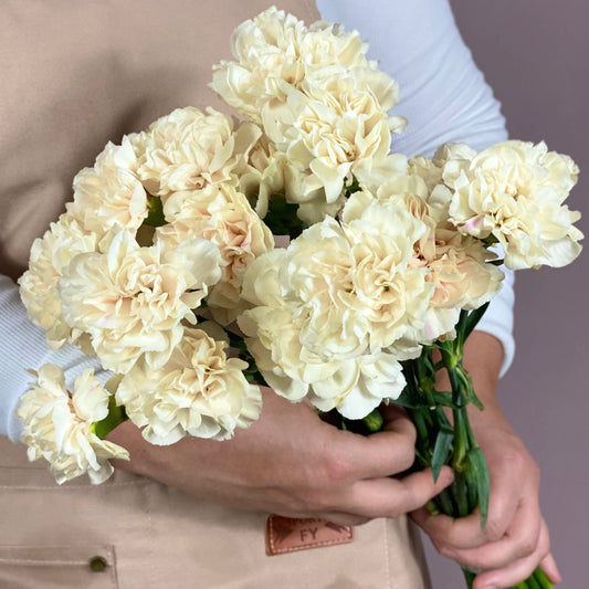 Bunch of Carnations - Peach